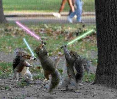 squirrels_lightsabers.jpg